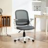 Breathable Mesh Office Chair, Ergonomic Swivel Chair with Folding Armrests and Lumbar Support, Grey