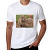 Capybara Love Tshirt Outdoor Sports Short Sleeve Top