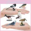 Pvc Bird Animal Models Collection Withmagpie Parrots And Owl For Garden Landscaping And Home Decor