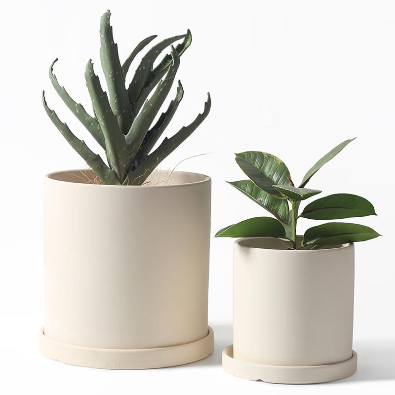 Nordic Ceramic Apple Planter with Tray