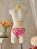 Chic European & American Print Bikini Three-Piece Swimsuit Set