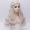 HAIRJOY Synthetic Hair Cosplay Wigs Silver Long Braided Costume Cosplay Queen Lolita Wig for Women
