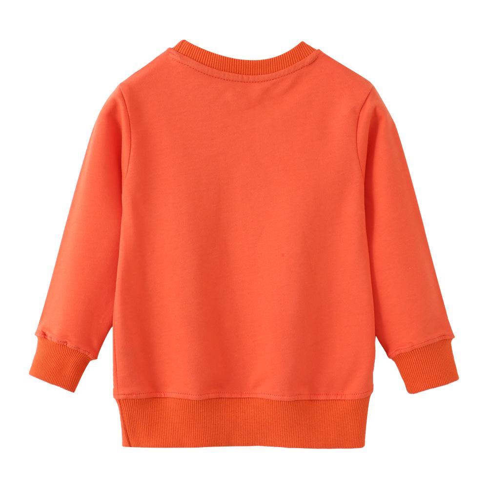 Unisex Children's Cotton Hoodie - European & American Style, Autumn/Winter Long-Sleeved Top