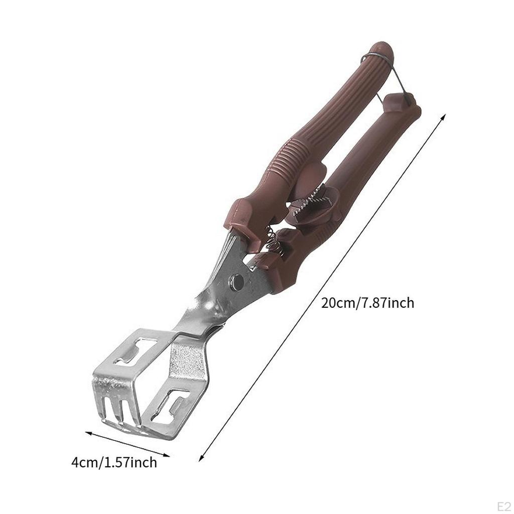 Chestnuts Opener Clip Manual Kitchen Utensils 20x4cm Ergonomic Handle Compact 2 in 1