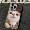 Phone Case For Iphone 13 15 Plus 11 Pro Max 16 17 Air 12 14 Cute Cute Kitten Flexible Shockproof Scratch Resistant Cover