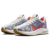 Nuove Nike Pegasus Turbo Next Nature Platino Puro Cremisi Brillante DM3413-002