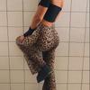 2025 Spring Trendy Women's High-Waisted Leopard Print Flare Pants - European & American Slim-Fit Casual Fashion.