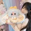 Lily Rabbit Town 5th Gen Plush Enamel Blind Box - 400 Units Live Broadcast Room Edition