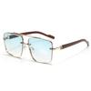 Lightweight Double-bar Sunnies Zinc Zinc Alloy Anti-UV Plain Glasses Unisex Polarized Sunglasses  Outdoor
