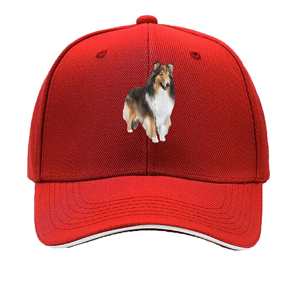 Collie Charm Dog Grace Hip Hop hat Fashion Outdoor Sports Sandwich Baseball Cap