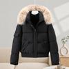 Winter new women's foreign-looking thin warm cotton-padded clothes fashionable big fur collar down cotton-padded jacket