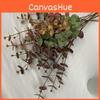 Money Leaf Eucalyptus Stems For Indoor Outdoor Wedding Gift Decoration