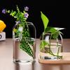 Simple Modern Glass Flower Vase Home Decoration Hydroponic Plant Bottle Desktop Decoration for Wedding Reception Family