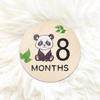 Wooden Baby Milestone Month Marker Photo Prop - DIY Round Plaque Set