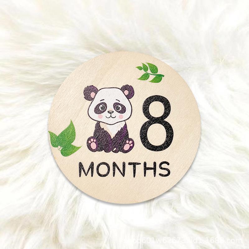 Wooden Baby Milestone Month Marker Photo Prop - DIY Round Plaque Set