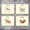 Flamingo Fox Sloth Sheep Animal Anatomy Wall Art Canvas Painting Nordic Posters And Prints Wall Pictures For Living Room Decor No Frame