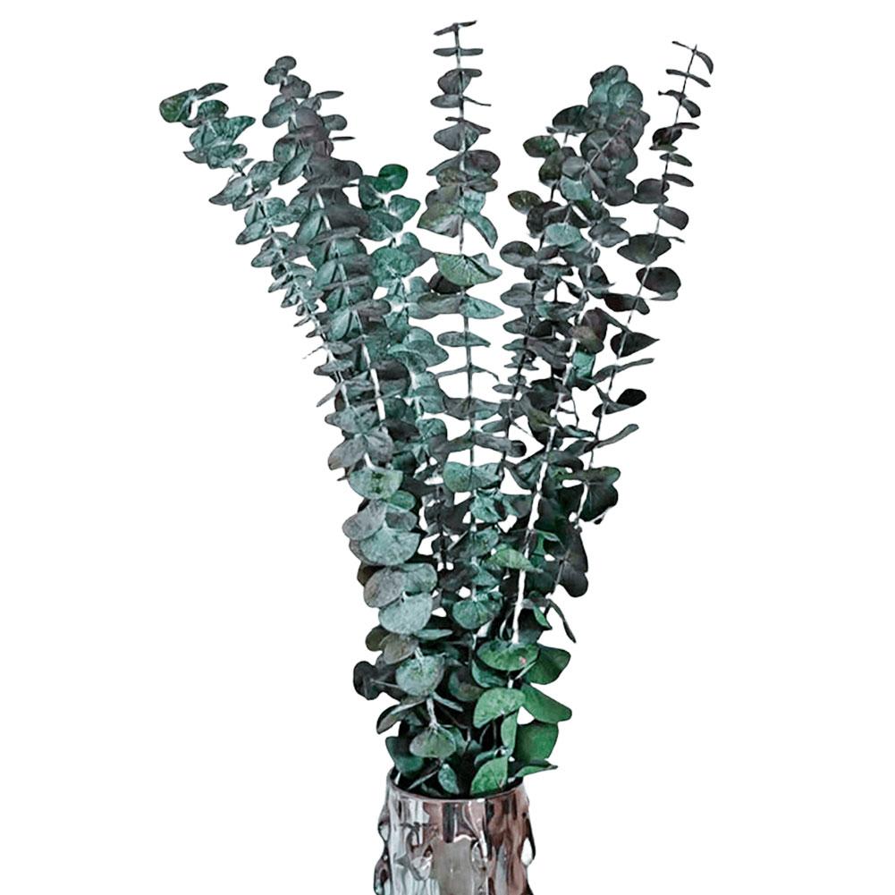 

10 PCS Natural Fresh Eucalyptus Plant Decorative Preserved Fresh Eucalyptus Branches Multipurpose Flowers Arrangement Home Decor