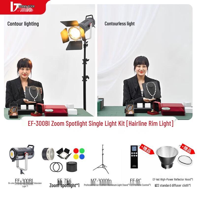JINBEI EF-300BI Bi-Color LED Video Light