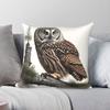 Boreal Owl Bird Square Pillowcase Polyester Linen Velvet Creative Zip Decorative Pillow Case Home Cushion Cover Wholesale