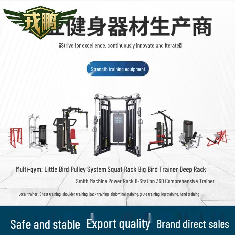 Rongpeng Panata Lat Pulldown & Integrated Strength Trainer