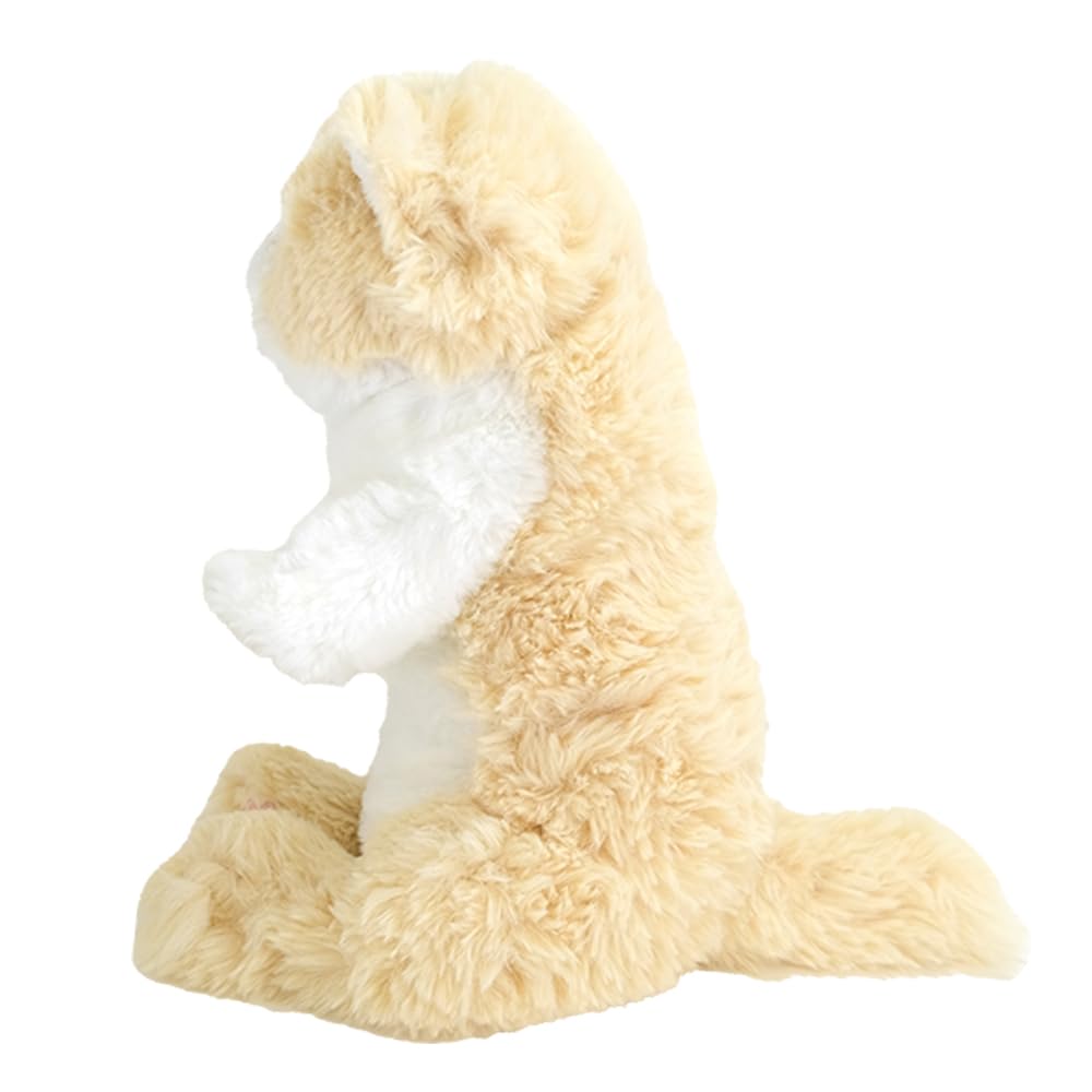 SunLemon Sleeping Lap S 15 x 18 x Plush Cute Cat, CR, 34cm, Animal, Cat, Cream, P-1383