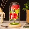 Two roses glass cover LED atmosphere light Christmas ornament Valentine's Day gift ornament flower