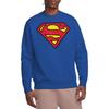 Superman Unisex Adult Logo Sweatshirt
