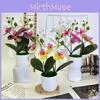 Flowers Artificial Phalaenopsis Decorative Plant For Home And Event Decoration