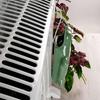 Ceramic Crocodile Radiator Humidifier 160ml