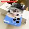 2DFlat Cute Otter Selfie Under Blue Sky All Inclusive Film Hard Phone Case, Compatible with iPhone 18 Pro Max 17 16 15 14 13 12 11