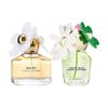 Perfumes – Perfumes