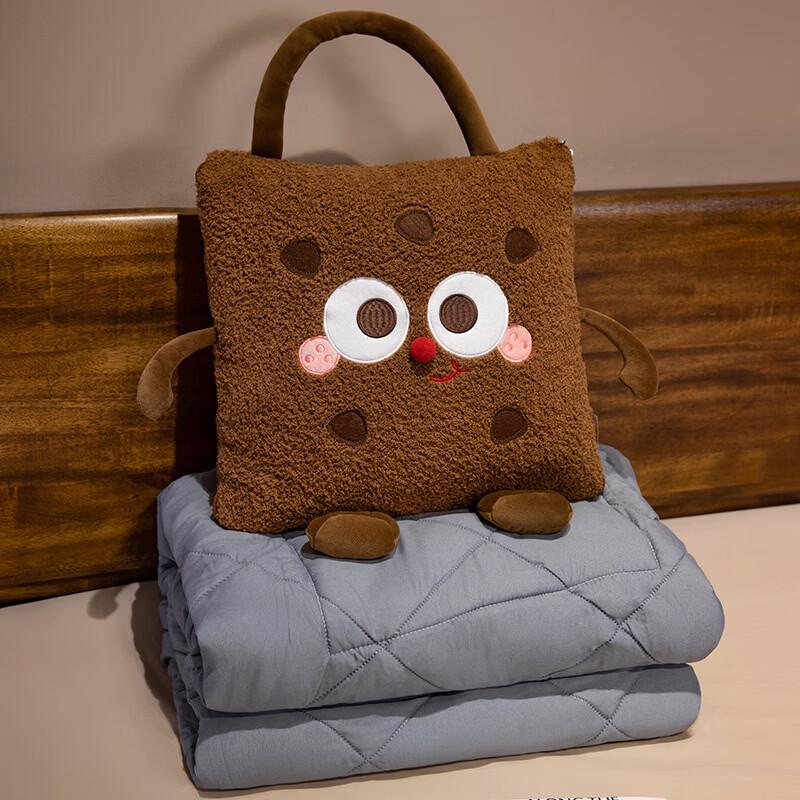 

Yuanjian Chuxu Winter Plush Portable Pillow Blanket