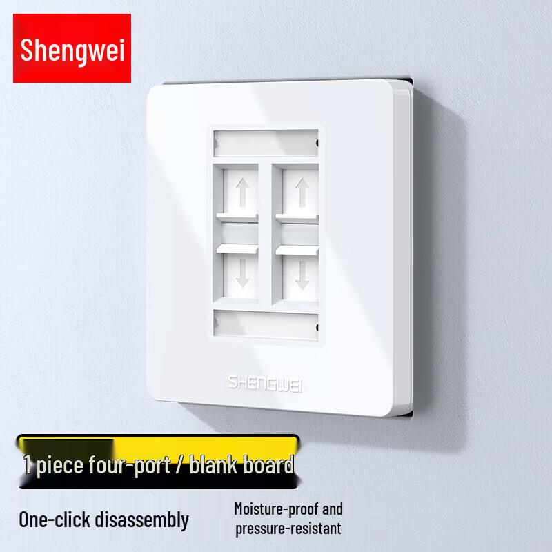 Shengwei 4-Port Network Wall Plate