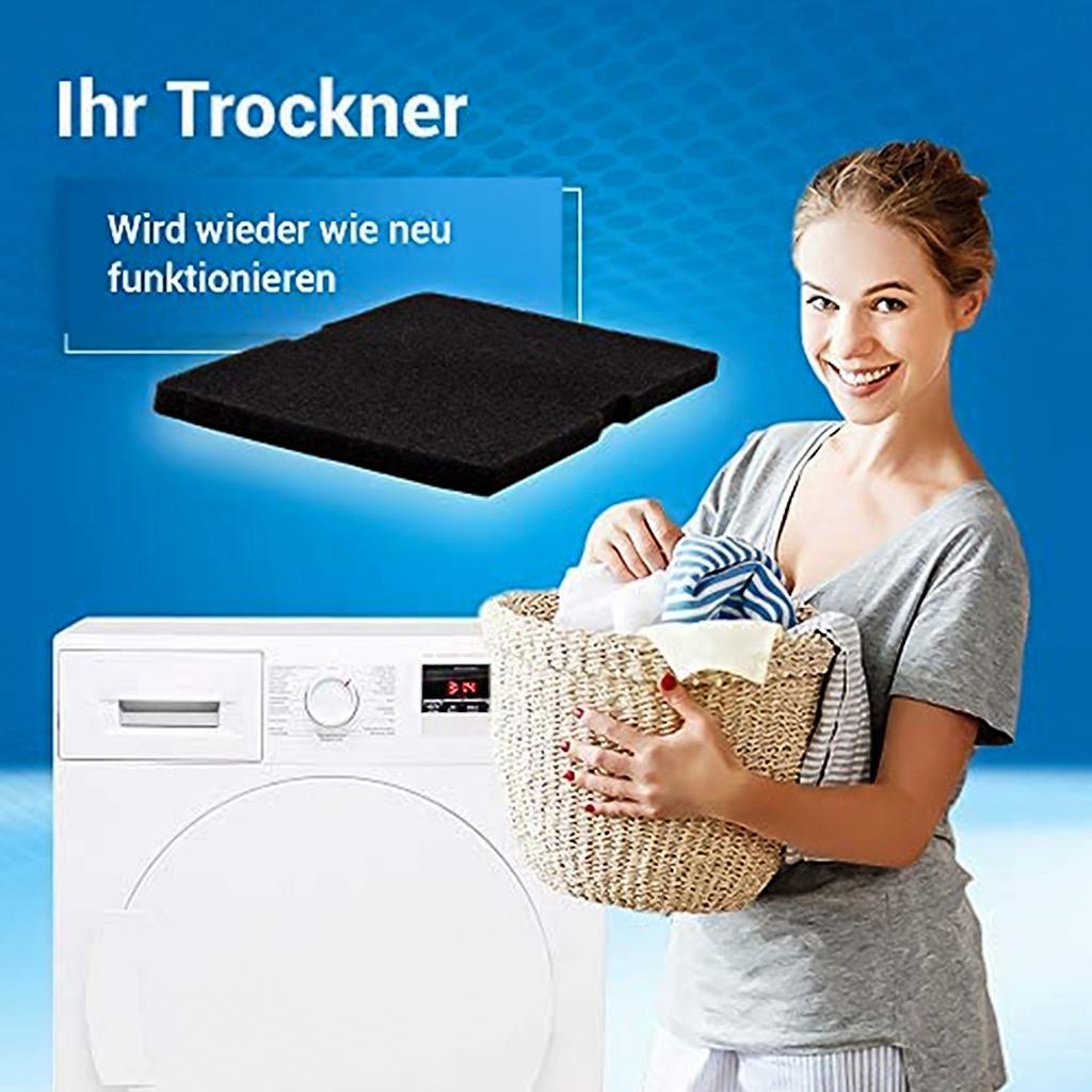 10 Pcs Heat Pump Dryer Sponge Filter Dryer Evaporator Filter 2964840100 Base Filter Tumble Dryer Accessory