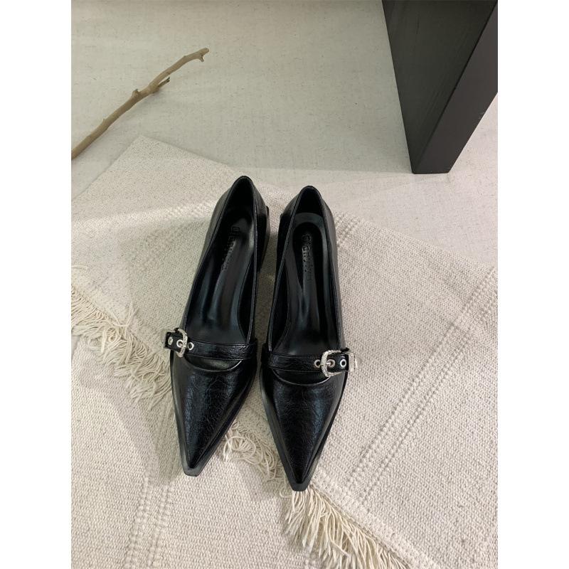 2025 Spring and Autumn New Fashion Versatile Thick Heel Pointed High Heel Single Shoes Women's Korean Version French Small Leather Shoes Retro