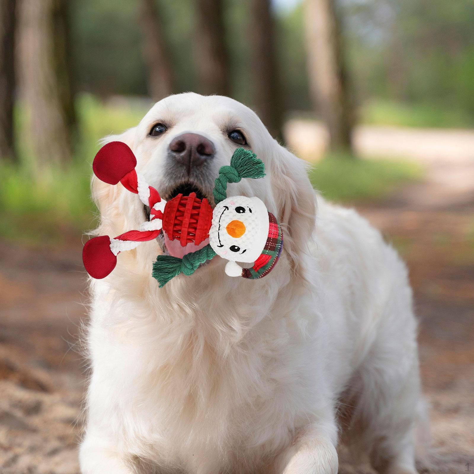 

Рождественские игрушки, жевательные игрушки для собак, портативные креативные плюшевые жевательные праздничные игрушки для собак в помещении Christmas Snowman