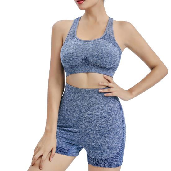 

2 шт./комплект женский спортивный костюм пуш-ап безрукавка жилет с нагрудными накладками бесшовные быстросохнущие шорты с высокой талией спортивная одежда йога фитнес L синий