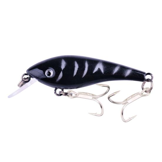 10Pcs Fishing Lures Hard Baits with Treble Hooks 3D Eyes