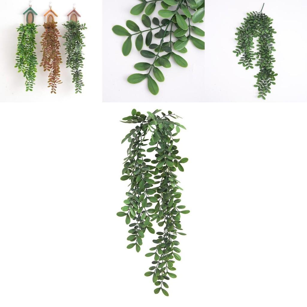 Wall Hanging Green Common Bowringia Plant With Three Color Faux Vine For Home Decor And Living Room