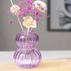 Colored Transparent Glass Vases Hydroponic Flower Vase Nordic Style Striped Gourd Shaped Vase Home Decor Housewarming Gift
