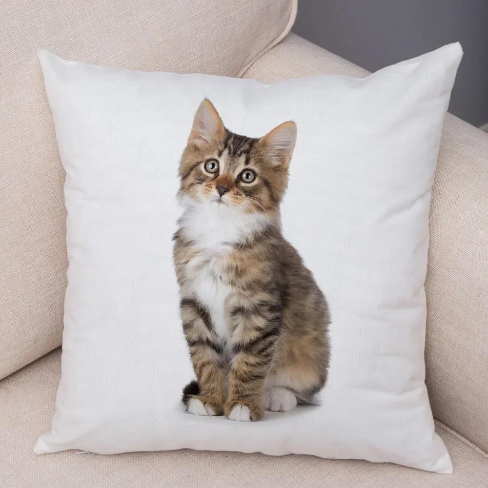 1PC 45x45cm Cute Cat Pillowcase for Home Sofa Children Room Decor Lovely Pet Animal Print Cojines Cushion Cover Pillow Case
