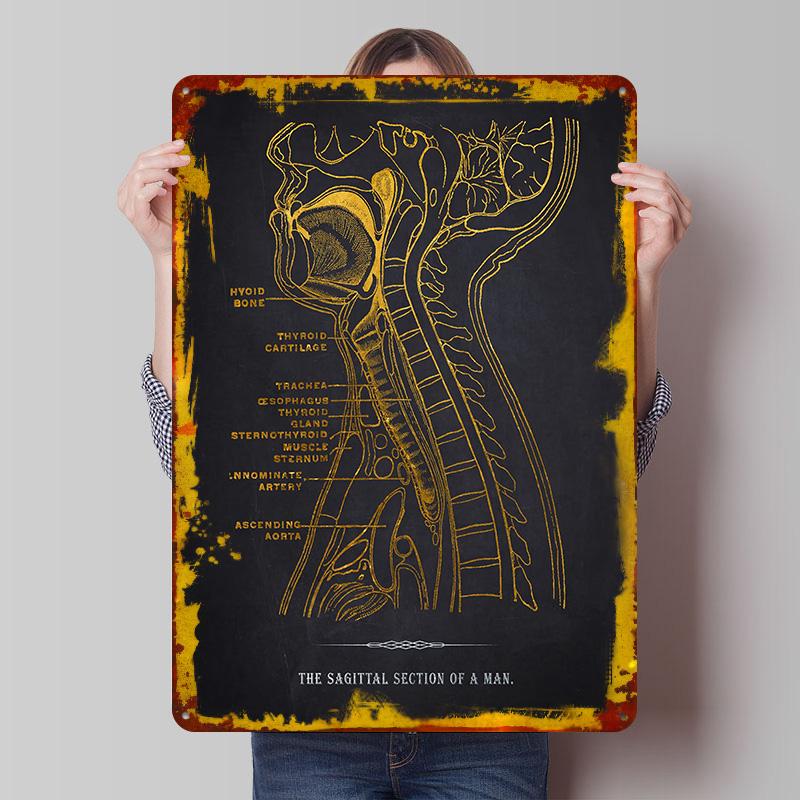 

Sagittal Section Anatomy Metal Poster Customized Wall Art Retro Vintage Tinplate Signs for Aesthetic Room Decor Men Man Cave 7.9x11.8In(20x30cm)