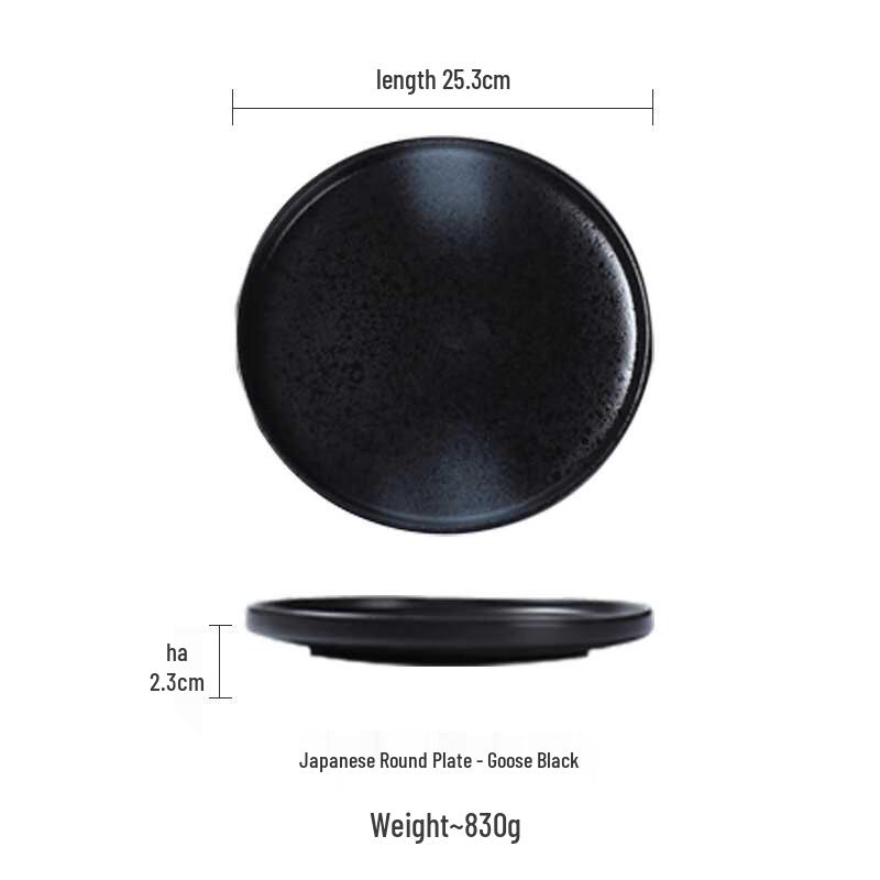 ZISIZ Japanese Ceramic Steak & Pasta Dinner Plate