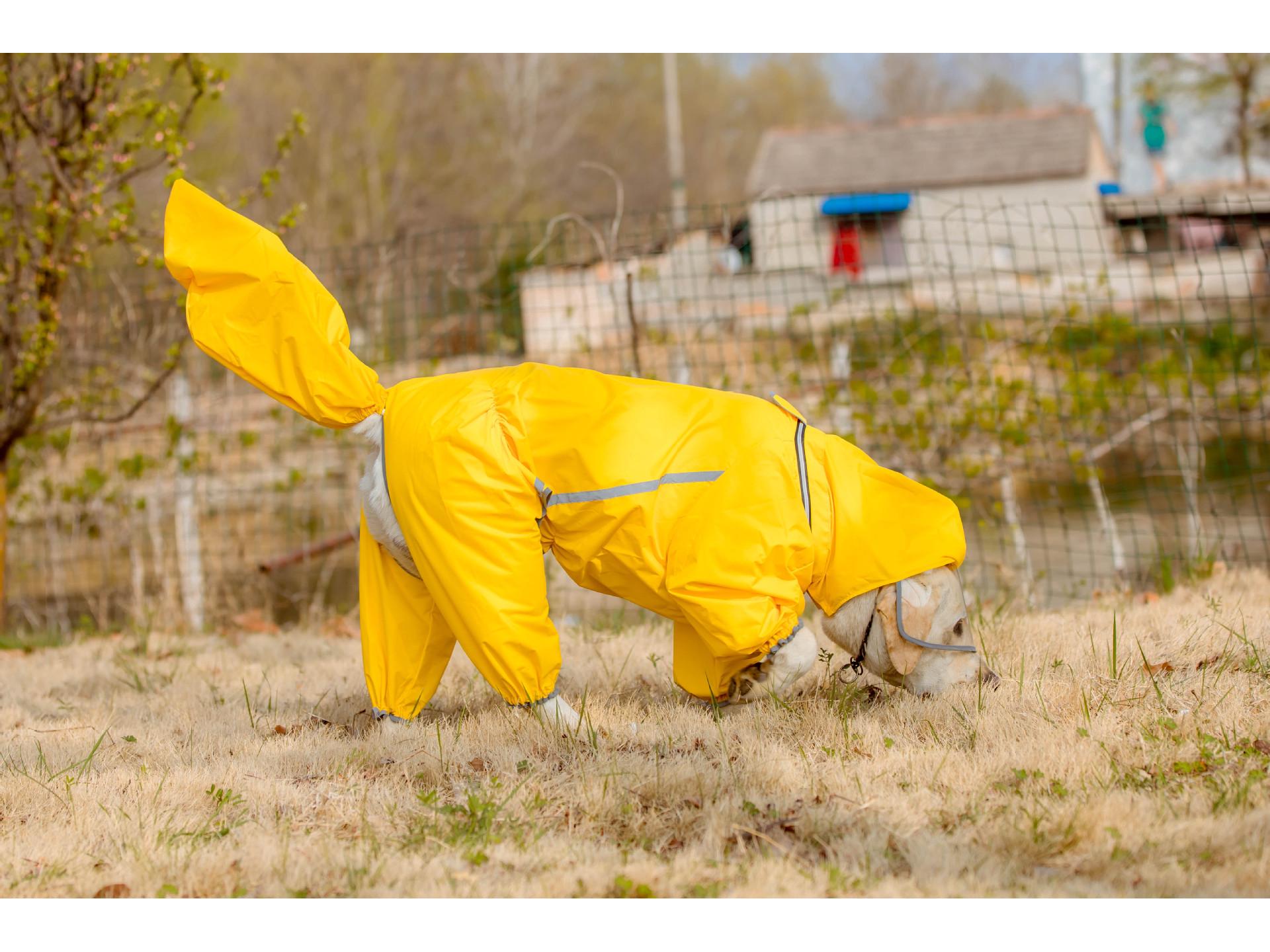 

Дождевик для собак полной защиты для золотистых ретриверов и бордер-колли 4XL