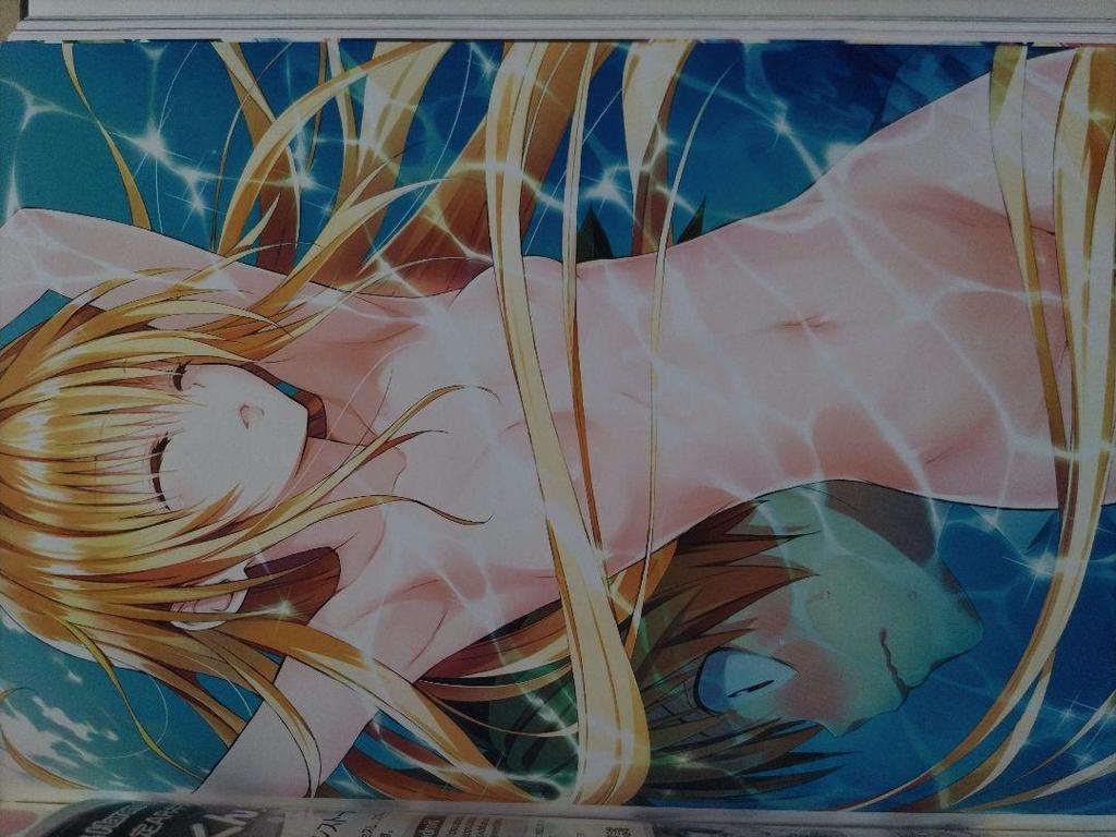 [USED] Collector's Edition Comic To Love-Ru Darkness Art Book Harem Gold