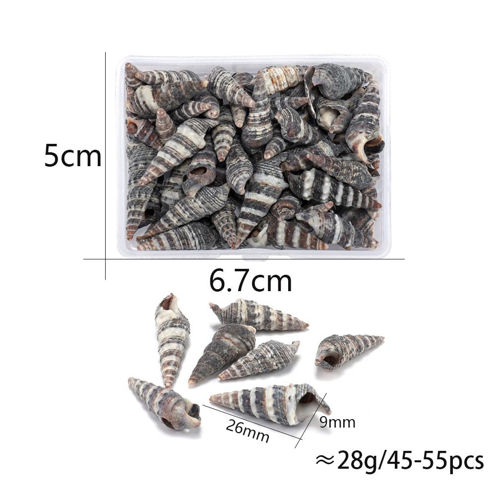 Blandet hav Sjøskjell Bryllupsdekor Strandtemafest, Skjell hjemmedekorasjoner, akvarium, sjøstjerne