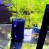 Fish Tank Filter Inlet Protection Cover for Shrimp Breeding