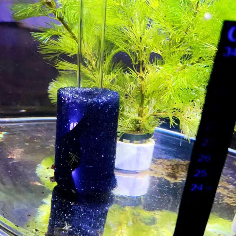 Fish Tank Filter Inlet Protection Cover for Shrimp Breeding