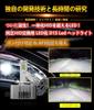 WENLE Integrated LED Headlight Bulbs for New Vehicle Inspection Special White Replacement for OEM LED No Modification Dark Area Noise Adaptive