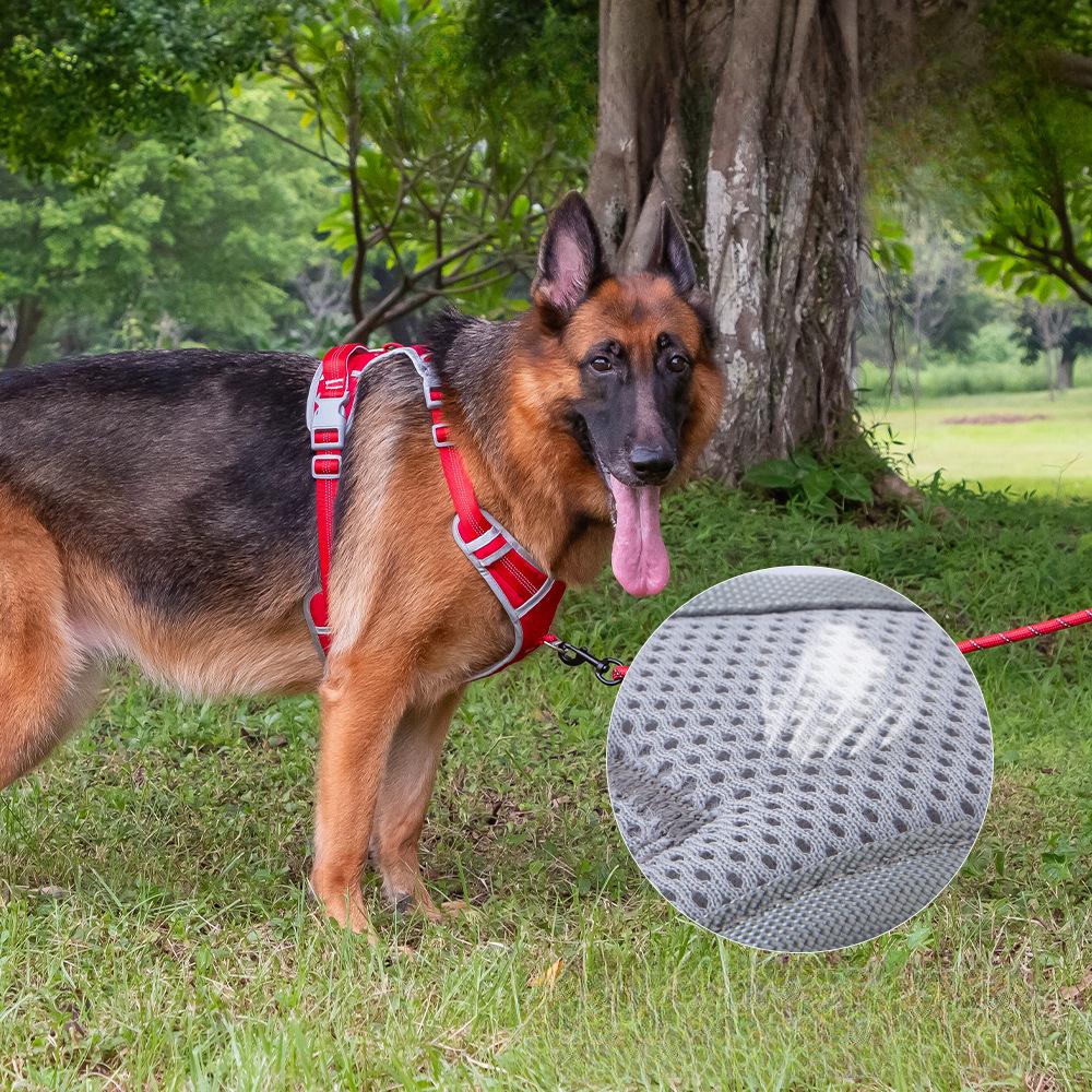 Dog Chest Straps Go Out Large Medium and Small Dog Vest Type Pet Chest Back Puppy Corgi Shiba Inu Traction Rope